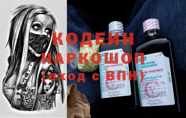 гидра Надым