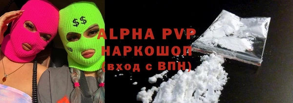 индика Гусь-Хрустальный