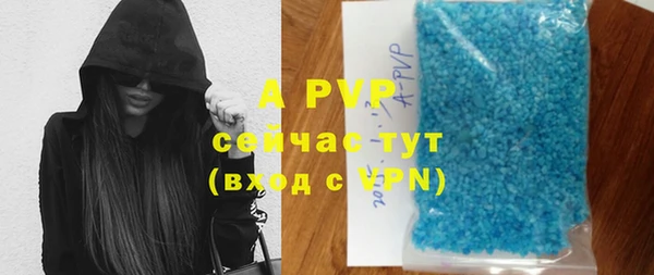 гидра Надым