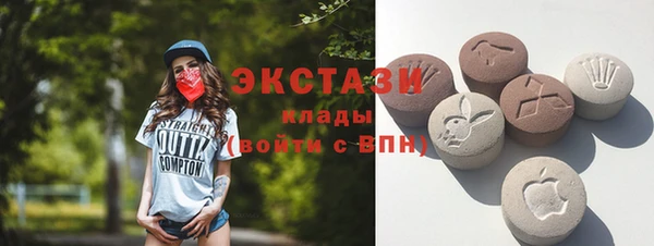 гидра Надым