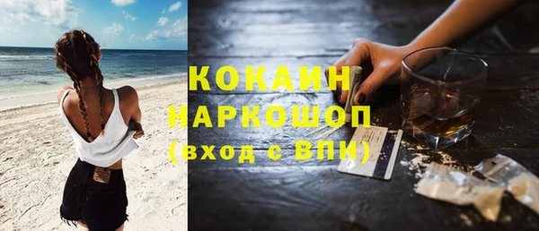 гидра Надым