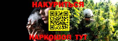 мет Жуковский