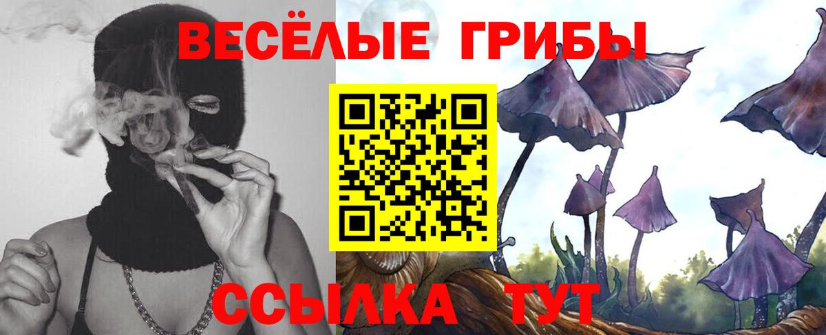 Галлюциногенные грибы Psilocybine cubensis  Псилоцибиновые грибы MAGIC MUSHROOMS  Людиново 